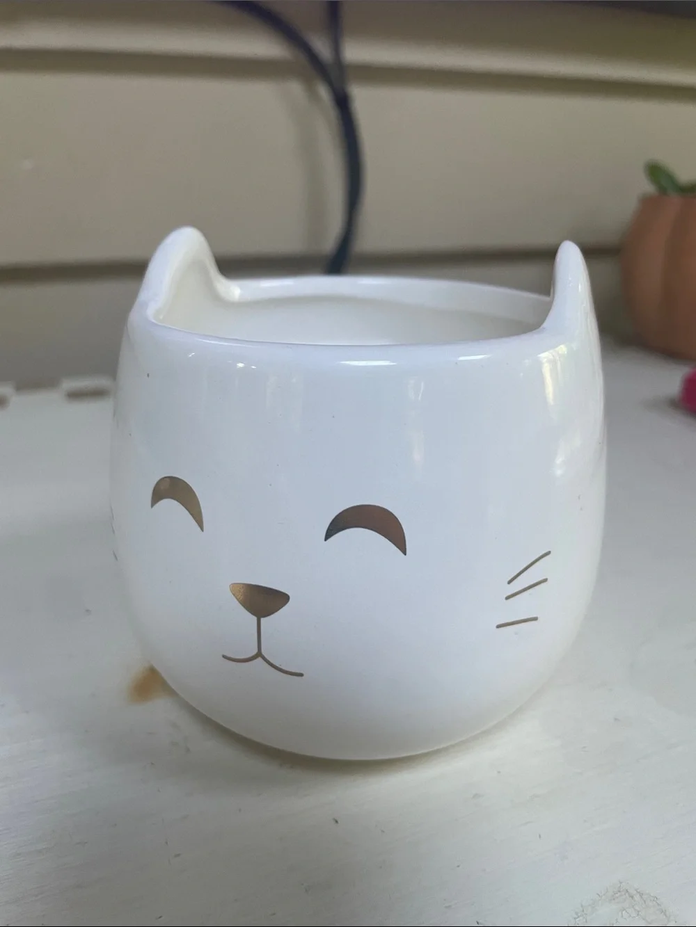 Urban Outfitters purrfect little